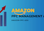 be your pro amazon account manager, pl amazon fba virtual assistant